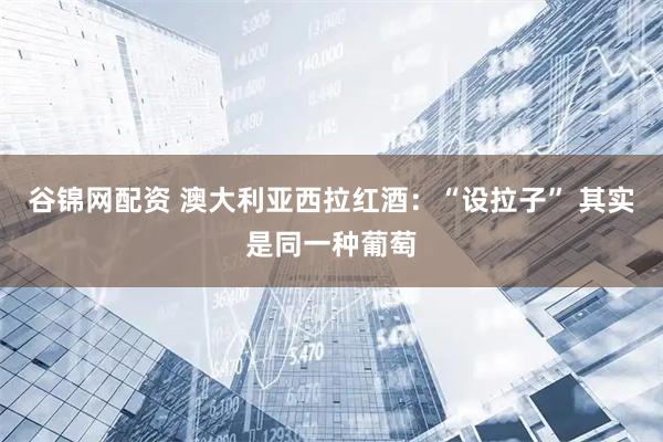 谷锦网配资 澳大利亚西拉红酒:“设拉子” 其实是同一种葡萄