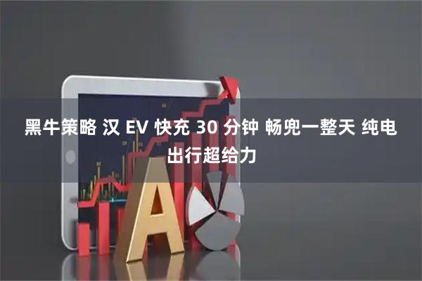 黑牛策略 汉 EV 快充 30 分钟 畅兜一整天 纯电出行超给力