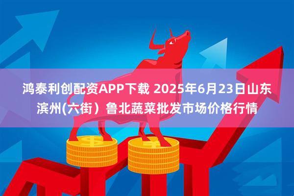 鸿泰利创配资APP下载 2025年6月23日山东滨州(六街）鲁北蔬菜批发市场价格行情