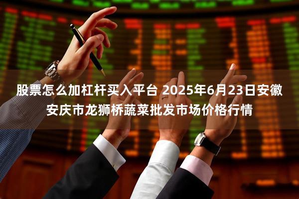 股票怎么加杠杆买入平台 2025年6月23日安徽安庆市龙狮桥蔬菜批发市场价格行情