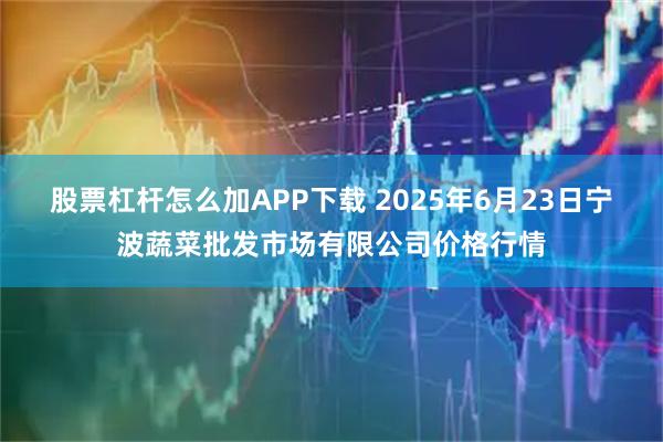 股票杠杆怎么加APP下载 2025年6月23日宁波蔬菜批发市场有限公司价格行情