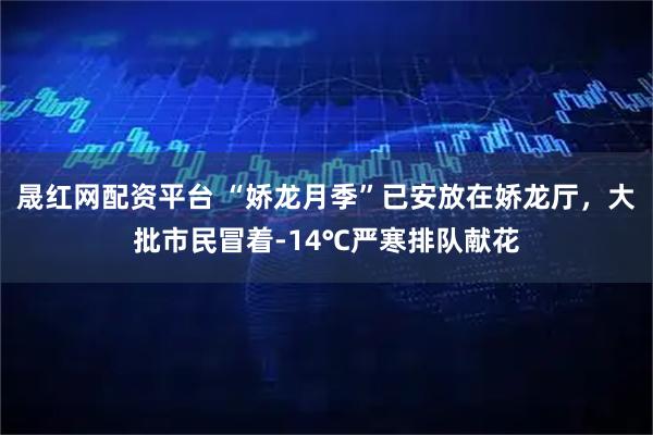 晟红网配资平台 “娇龙月季”已安放在娇龙厅，大批市民冒着-14℃严寒排队献花