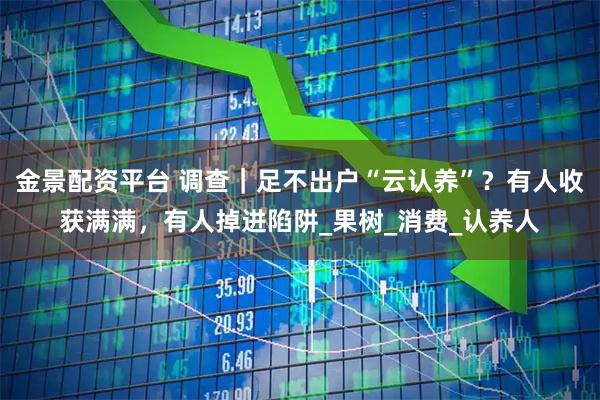 金景配资平台 调查｜足不出户“云认养”？有人收获满满，有人掉进陷阱_果树_消费_认养人